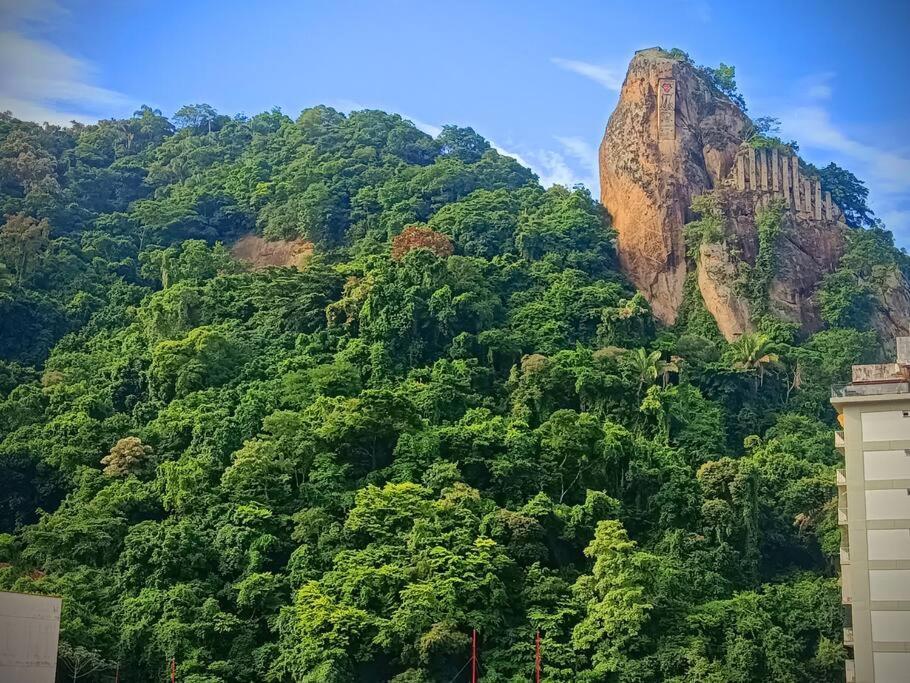 公寓 Charming With Mountain Views *